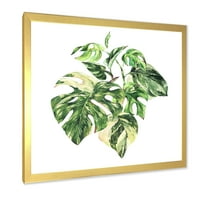DesignArt 'Tropska zelena lišća na bijeloj boji u ljetnim vremenima I' tropski uokvireni umjetnički tisak