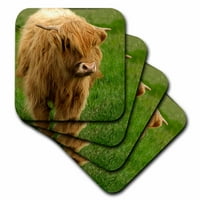 3dRose Škotska, krava Highland, poljoprivredni životinja - EC I - Cindy Miller Hopkins - Mekani jastučići, set