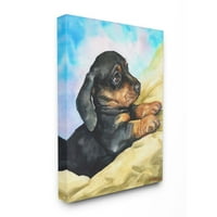 Stupell Industries Slatka jazavac štene pse ljubimce životinjskog akvarela slika super platna zidna umjetnost