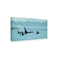 Zaštitni znak likovna umjetnost 'Tihi prolaz Orcas' platno umjetnost Ron Parker