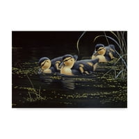 Prepoznatljiva likovna umjetnost patke patke na platnu Vilhelma Goebela