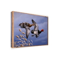 Zaštitni znak likovna umjetnost 'crvenokose patke' platno umjetnost Wilhelm Goebel
