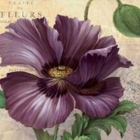 Purple Garden I Poster tisak Pamele Gladding