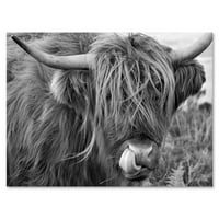 Izbliza škotske krave na Moorland II Photography Canvas Art Print