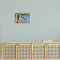 Sunrise Palm Tree nebesko refleksiju Obalna fotografija Umjetnost Umjetnička umjetnost Umjetnički print Umjetnost