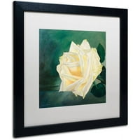 Zaštitni znak likovna umjetnost Ruža je ruža 1 platna umjetnost Lily van Bienen, bijela mat, crni okvir