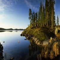 Drveće uz jezero, Saimaa, Puumala, Južna Savonija, Istočna Finska, tiskanje plakata u Finskoj