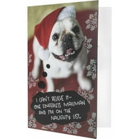 Hallmark Mailman Dog božićne boksere čestitke
